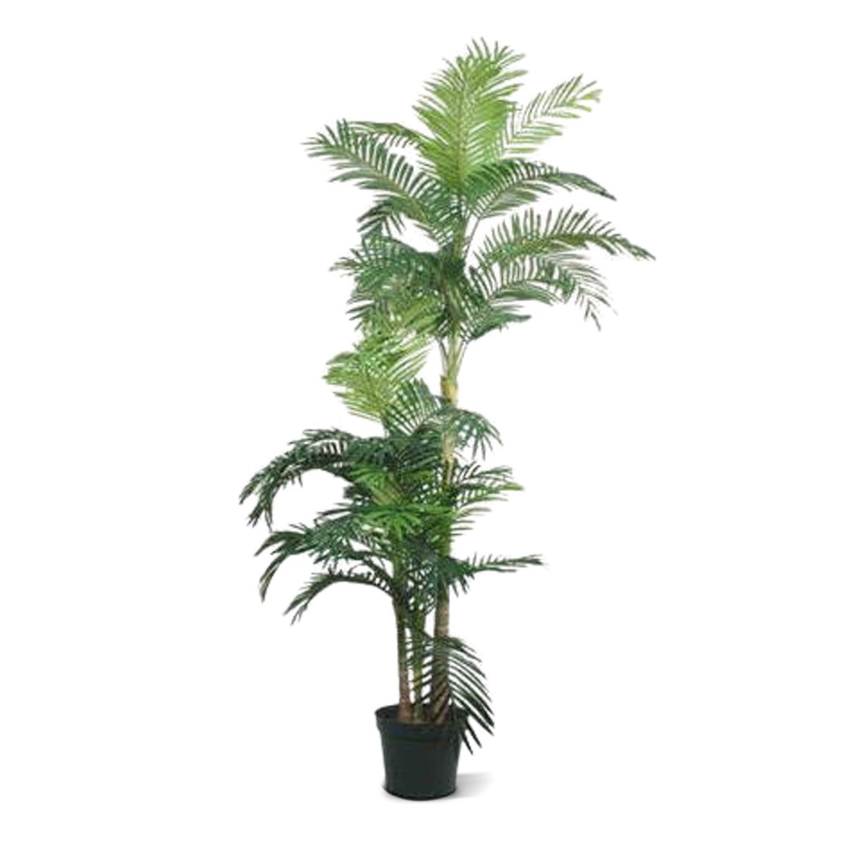 HSM Collection-Palmier Artificiel Greens Areca-75x100x180-Vert-Soie Artificiel